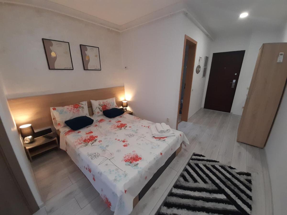 Apartament Studio Elvetia Deva Zewnętrze zdjęcie